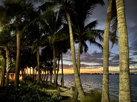 Palm trees on the beach at sunset in Indiana