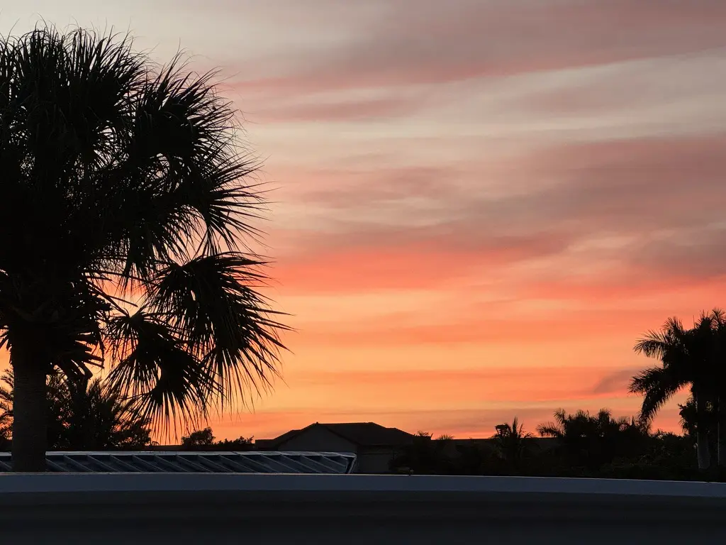 A palm tree in Florida with a sunset in the background